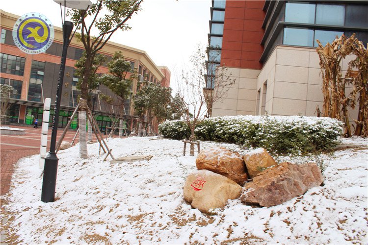 雪園“石頭記”，最美是氣質(zhì)(圖14)