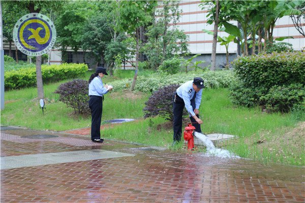 迎國檢 消隱患 強意識 保安全(圖4)