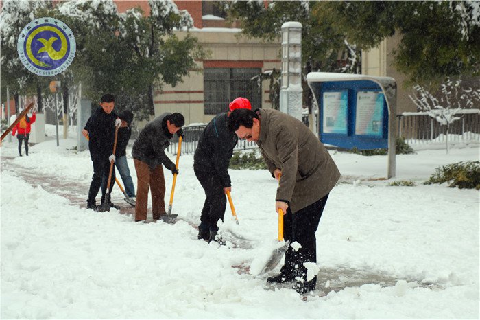 黨員干部掃雪忙    師生離校保通暢(圖3)