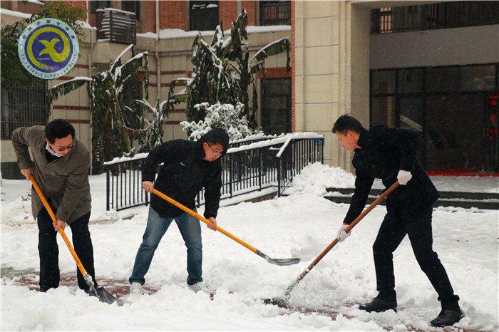 黨員干部掃雪忙    師生離校保通暢(圖5)