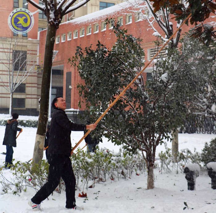 梅雪盼冬來，微笑迎春歸(圖10)